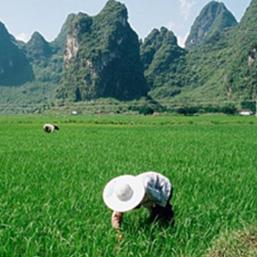 Hebei Sincerity and Delighted Chemical Co., Ltd.