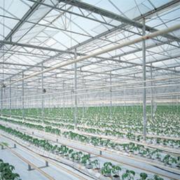 SnD chemical is well-known by high quality product and good services