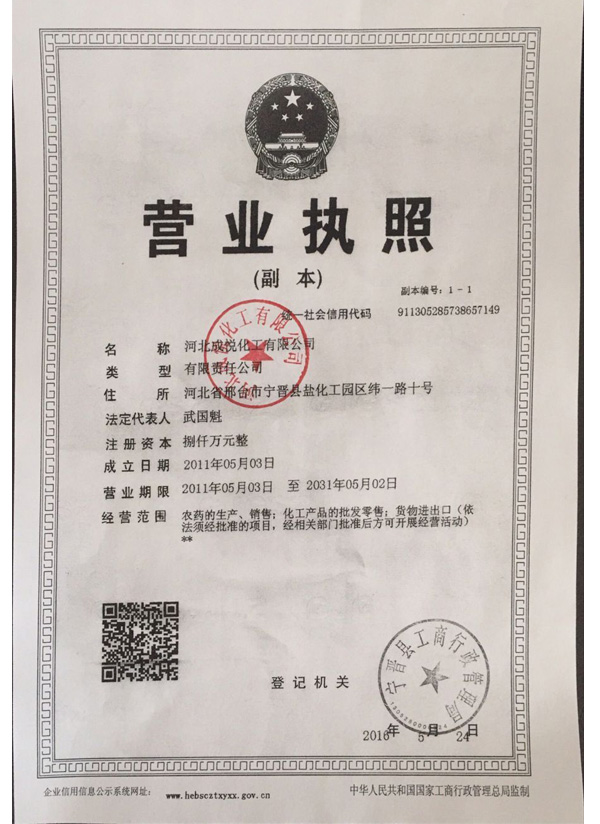 Business License